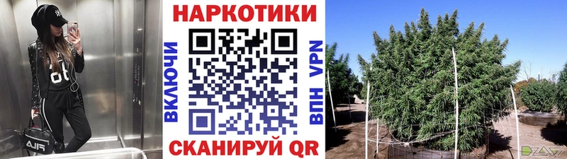 Как найти наркотики Медногорск Бошки Шишки  Cocaine  ГЕРОИН  Меф 