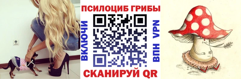 Галлюциногенные грибы MAGIC MUSHROOMS Медногорск